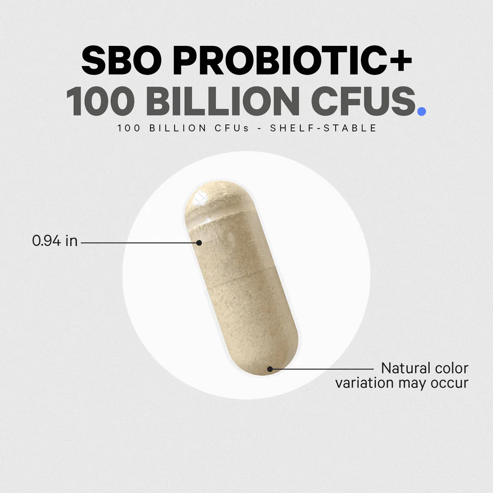 1036-codeage-sbo-probiotics-100-billion-cfu-5.webp Codeage SBO Probiotics 100 Billion CFU
