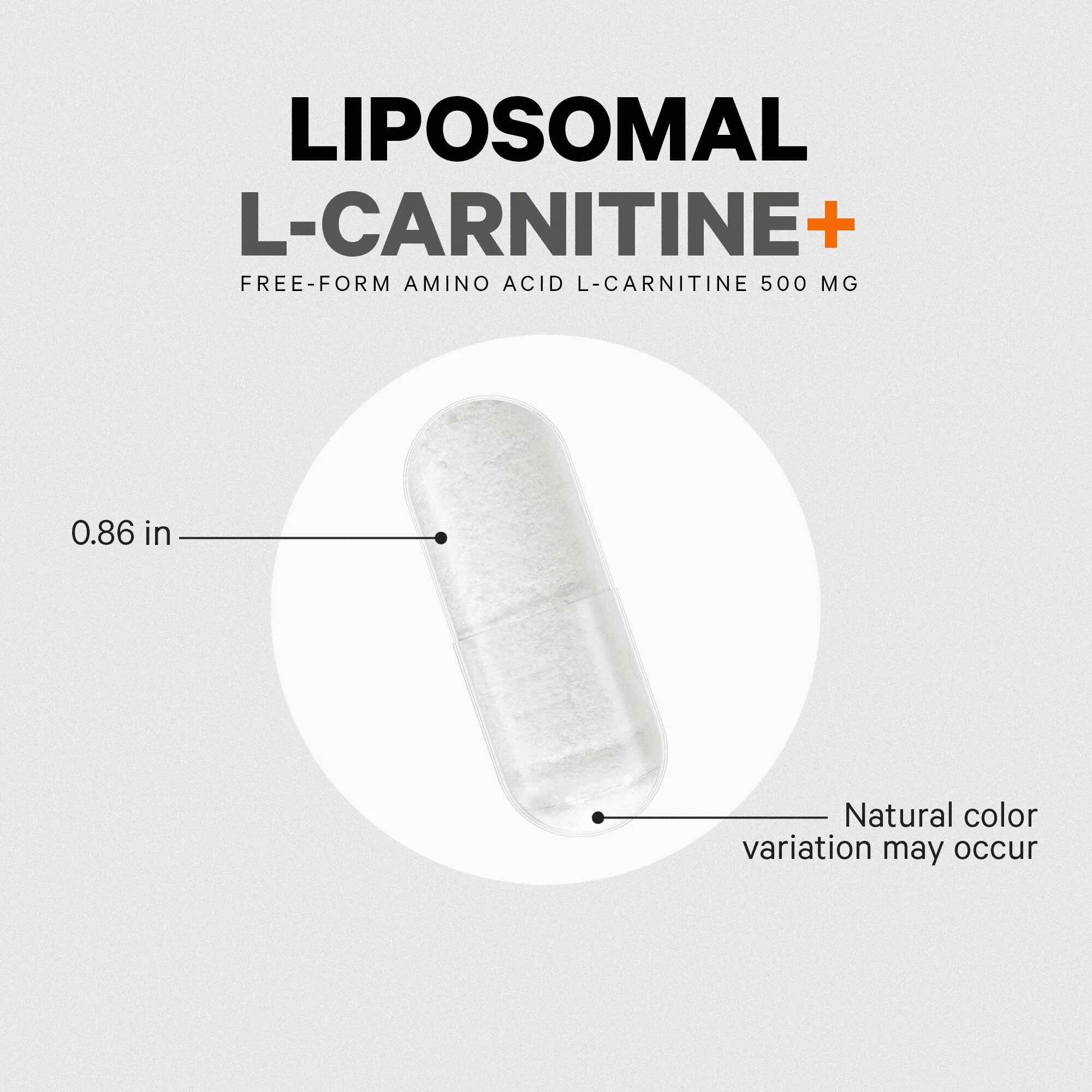 Codeage L-Carnitine+ Free-Form Amino Acid Supplement