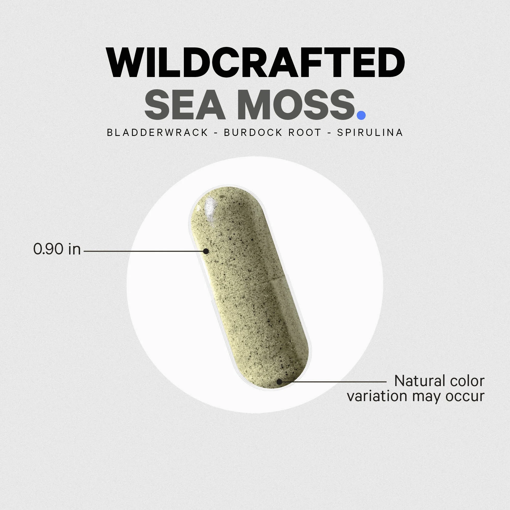 Codeage Wildcrafted Sea Moss Supplement