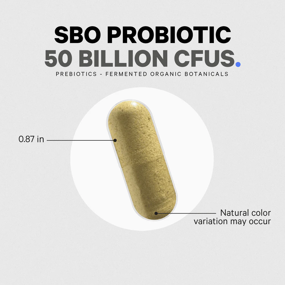 Codeage Digestion SBO Probiotic+ 50 Supplement