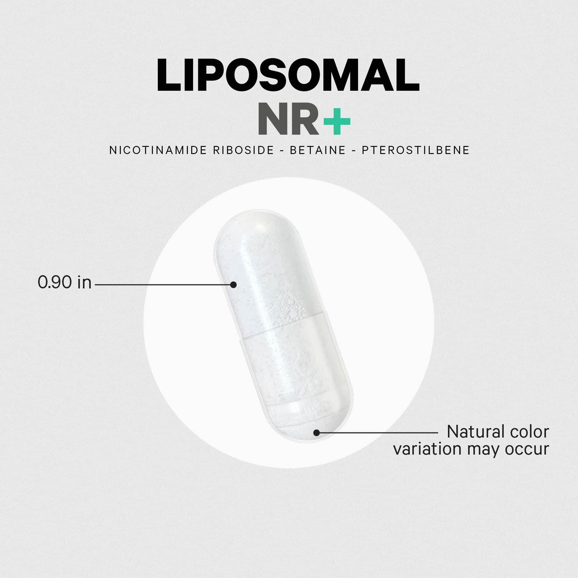 1314-codeage-nicotinamide-riboside-eternal-nr-tmg-supplement-4.jpg Codeage Nicotinamide Riboside+ Eternal NR -TMG Supplement