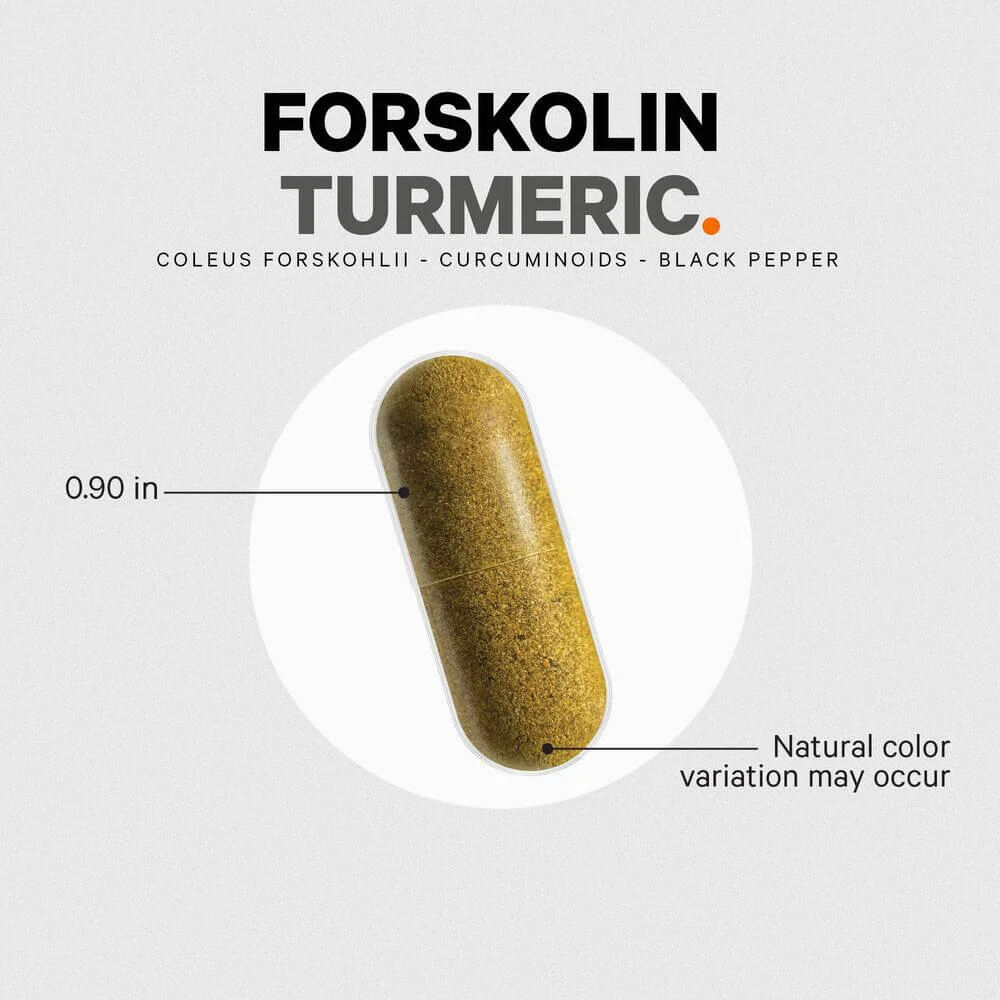 1388-codeage-antioxidant-forskolin-turmeric-supplement-6.webp Codeage Antioxidant Forskolin Turmeric Supplement