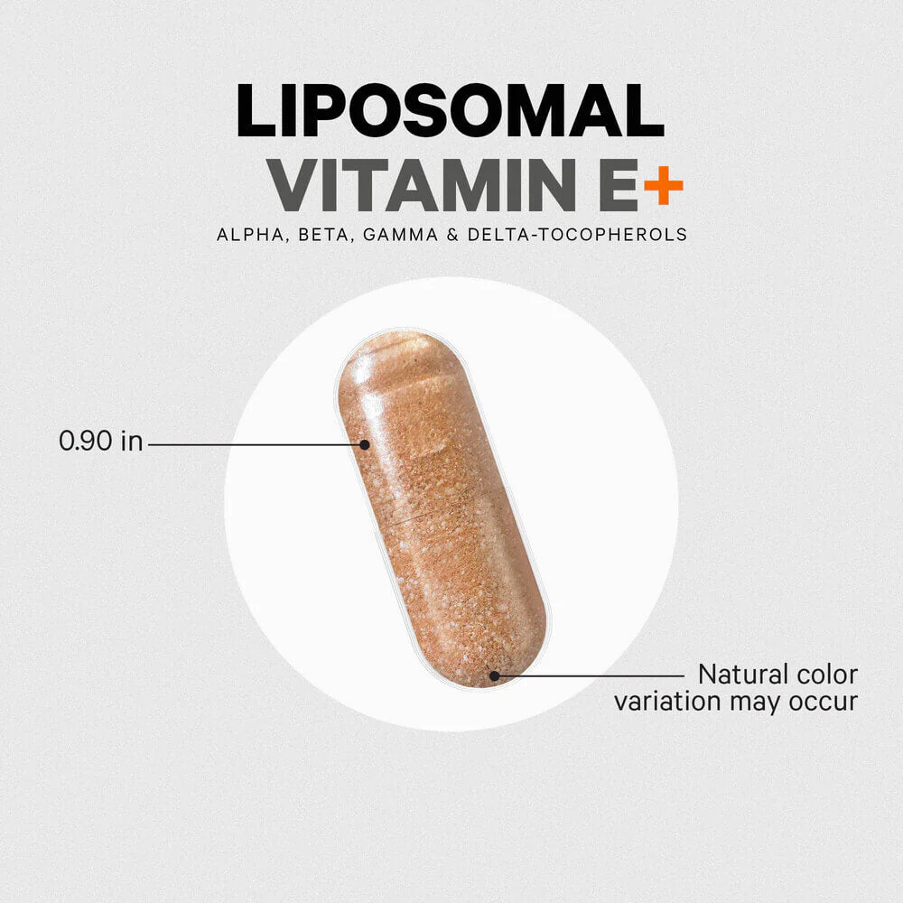1431-codeage-vitamin-e-tocopherols-5.webp Codeage Vitamin E Tocopherols