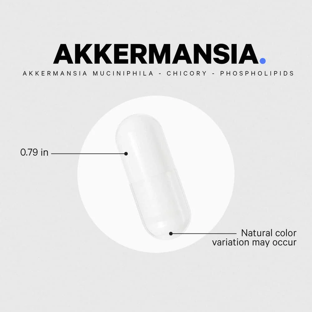 1461-codeage-akkermansia-probiotic-5.webp Codeage Akkermansia Probiotic