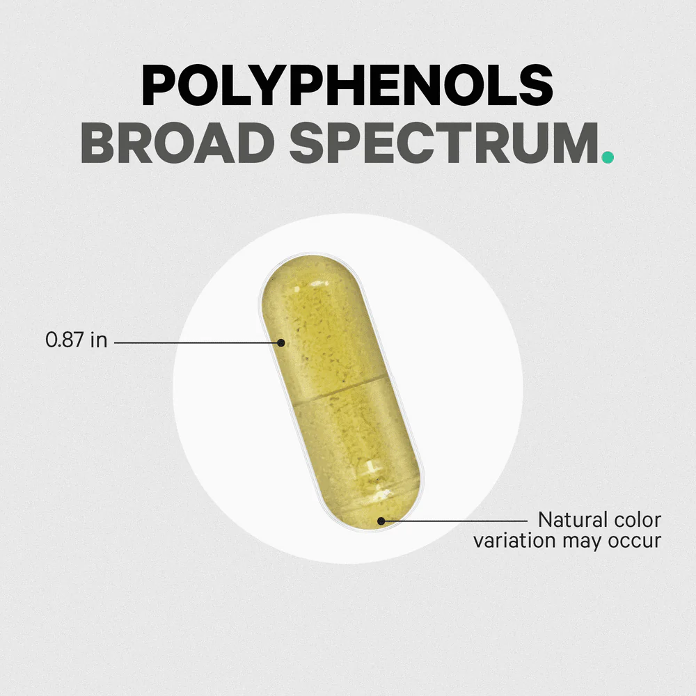 Codeage Polyphenols Broad Spectrum