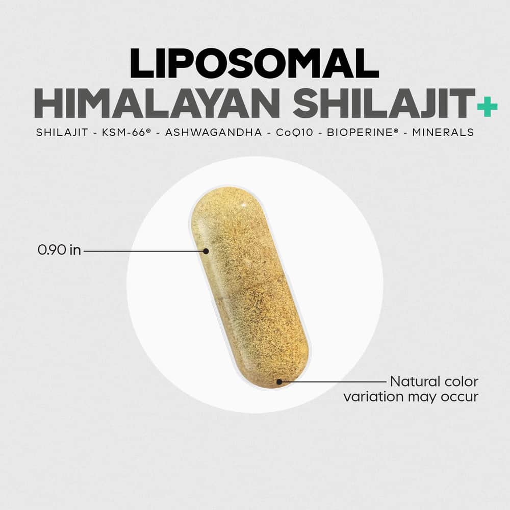 1605-codeage-liposomal-himalayan-shilajit-5.jpg Codeage Liposomal Himalayan Shilajit+