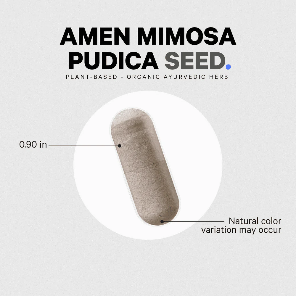 Codeage Amen Mimosa Pudica Seed