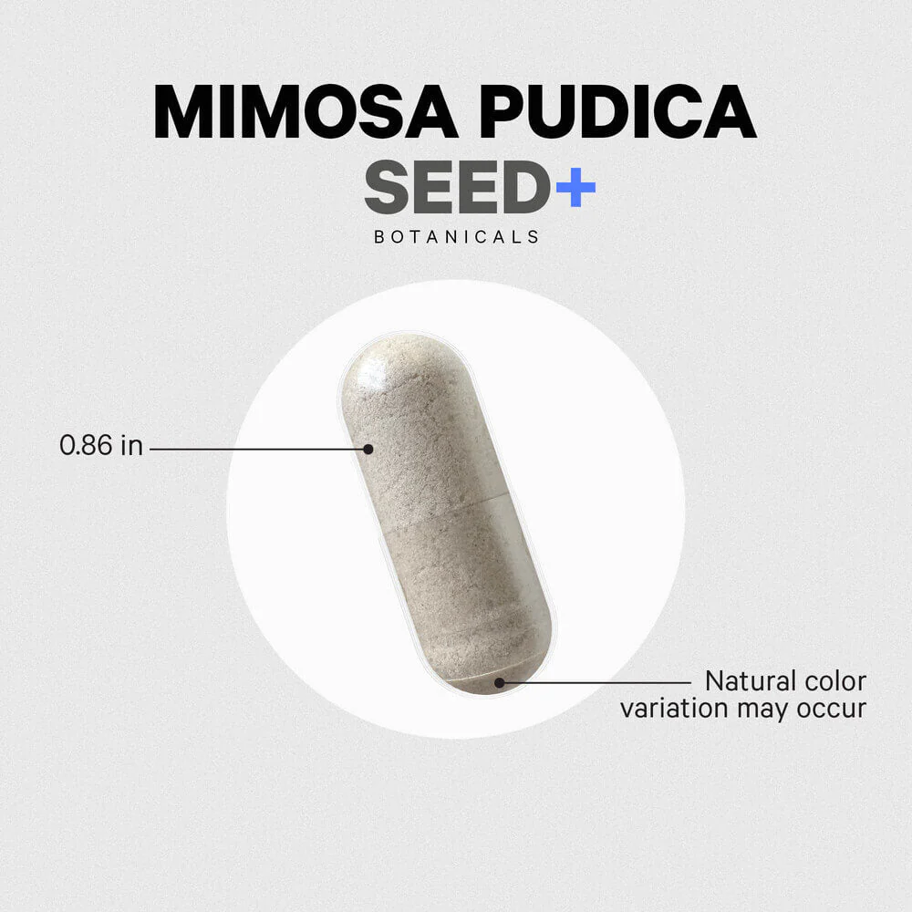 1625-codeage-mimosa-pudica-seed-5.webp Codeage Mimosa Pudica Seed+