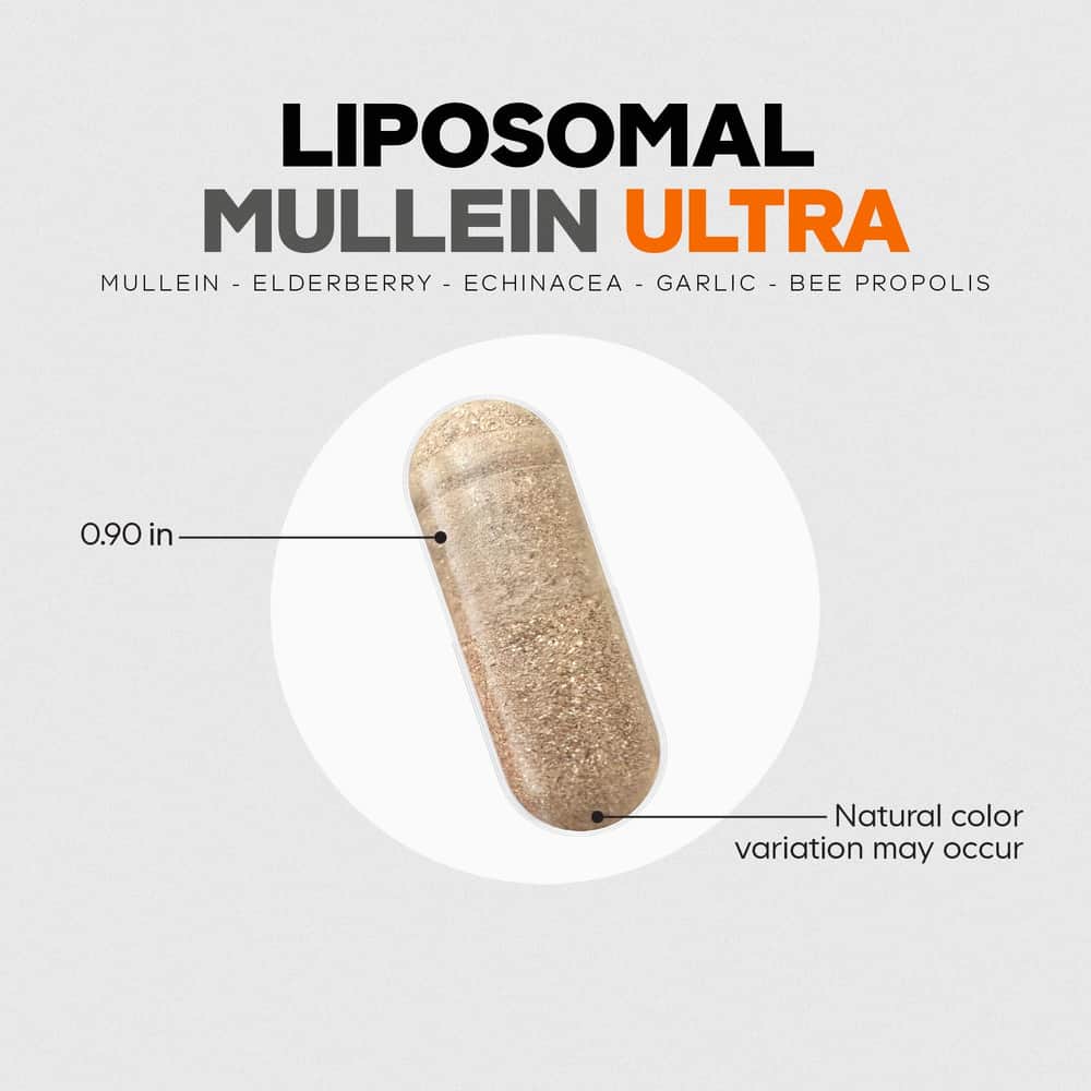 1668-codeage-liposomal-mullein-ultra-5.jpg Codeage Liposomal Mullein Ultra
