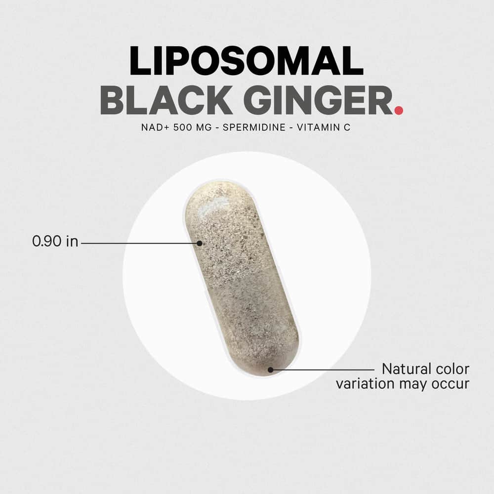 Codeage Liposomal Black Ginger