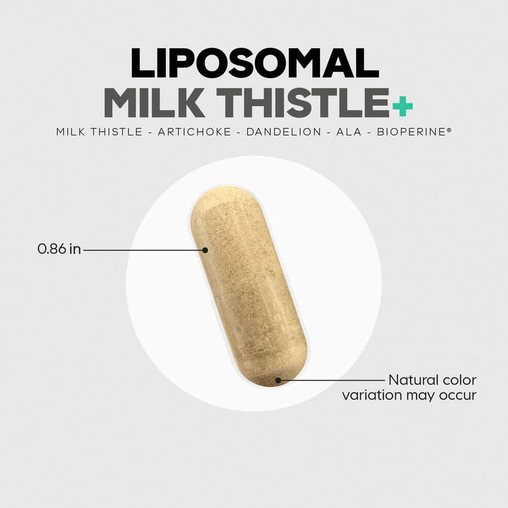 1677-codeage-liposomal-milk-thislte-5.webp Codeage Liposomal Milk Thislte+