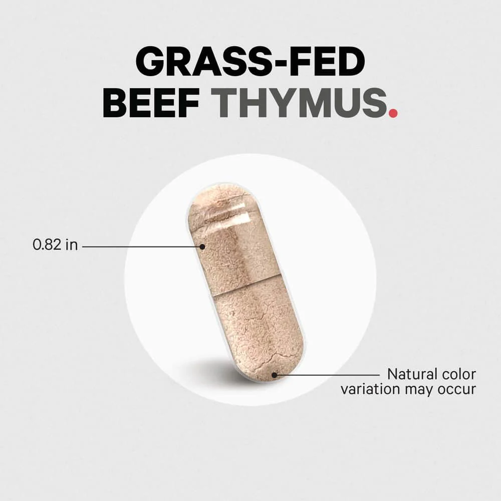 1715-codeage-grass-fed-beef-thymus-glandular-supplement-5.webp Codeage Grass-Fed Beef Thymus Glandular Supplement
