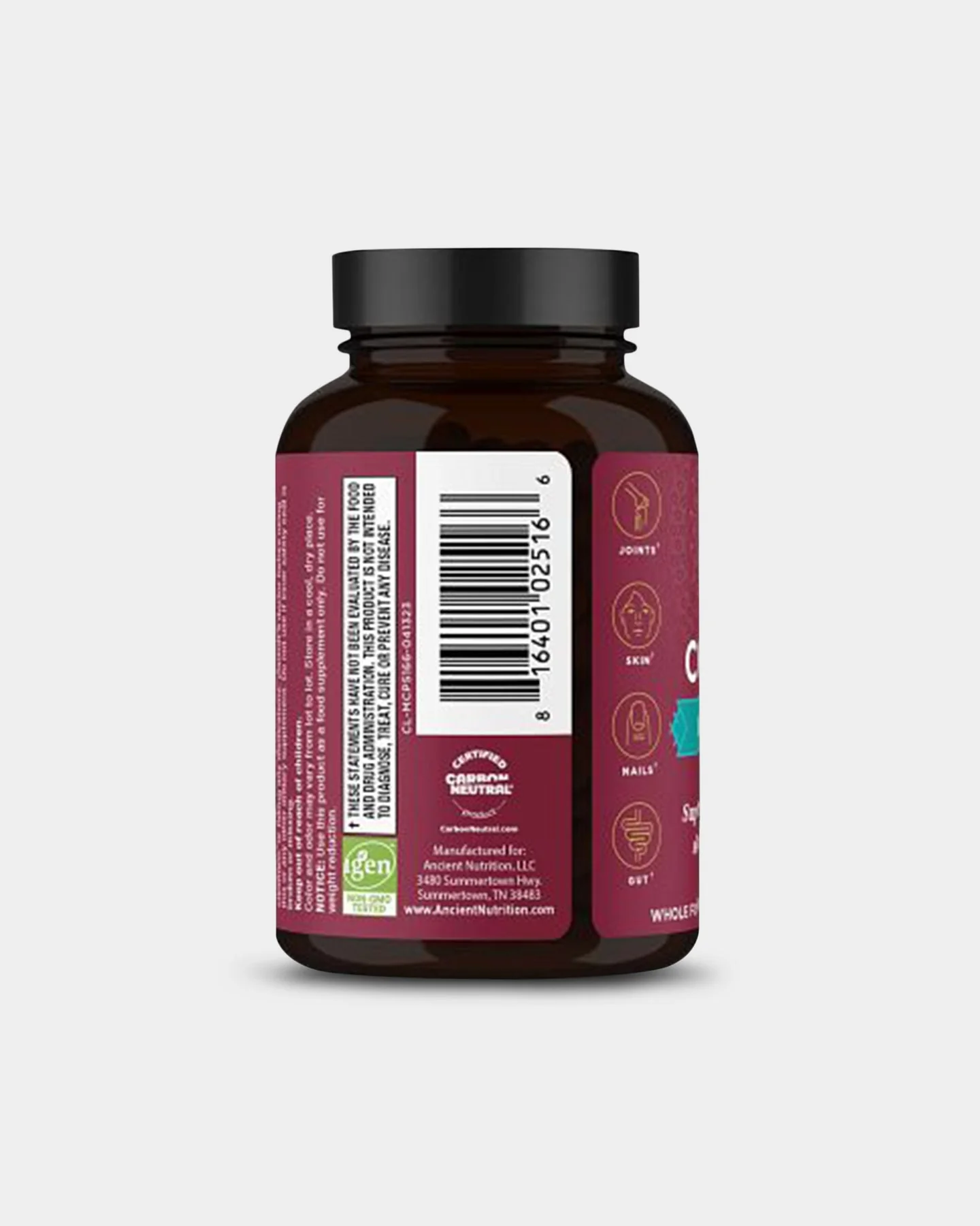 1801-ancient-nutrition-multi-collagen-joint-mobility-4.webp Ancient Nutrition Multi Collagen - Joint + Mobility