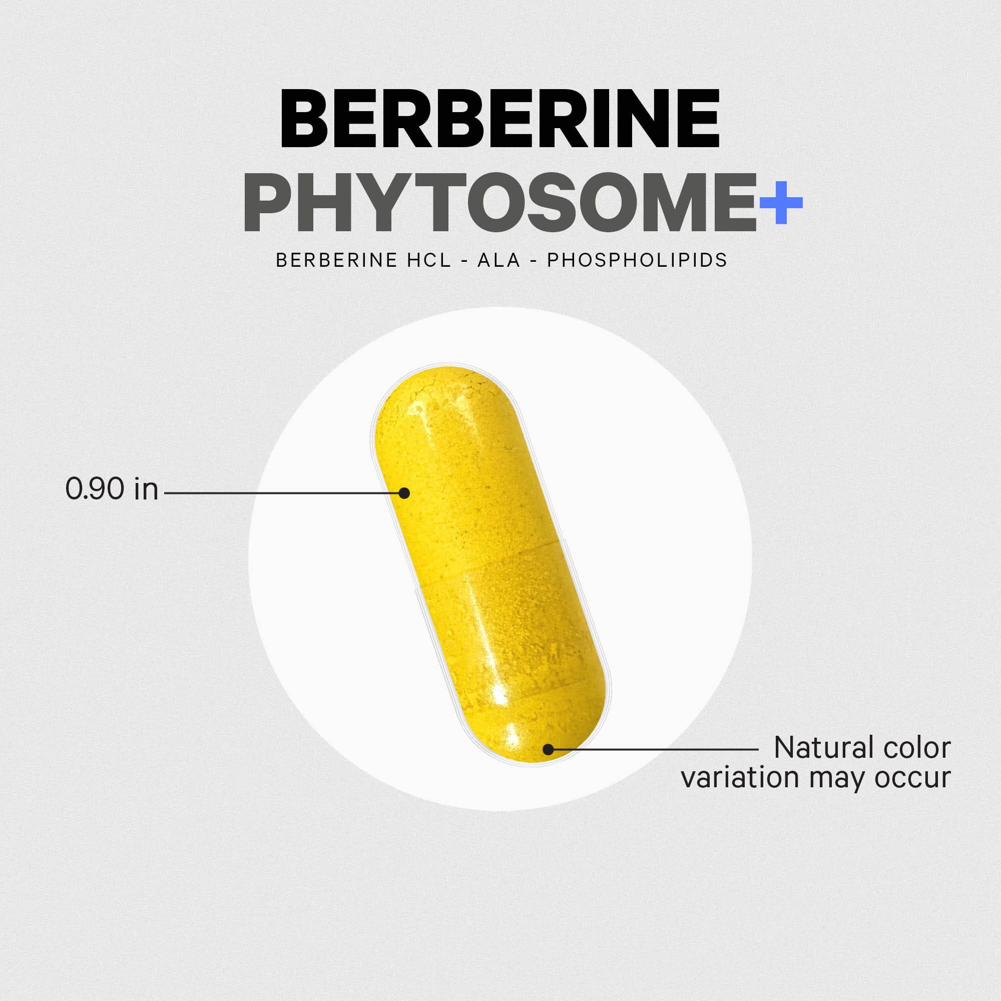 1863-codeage-berberine-phytosome-5.jpg Codeage Berberine Phytosome+