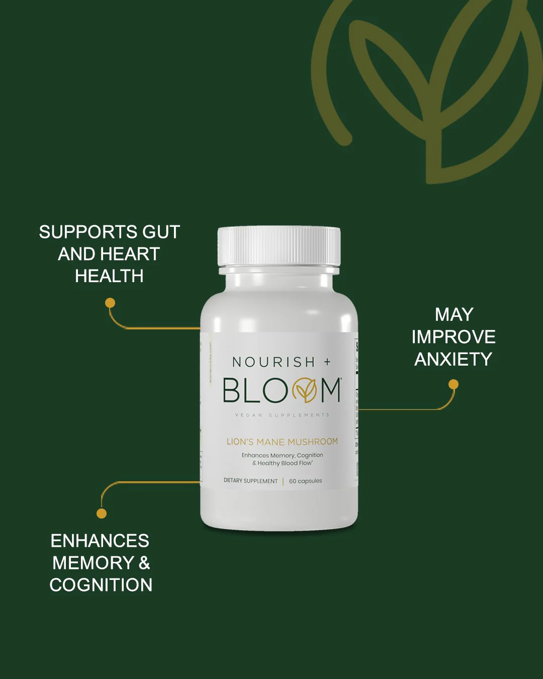 1970-nourish-bloom-lion-s-mane-mushroom-4.webp Nourish + Bloom Lion's Mane Mushroom