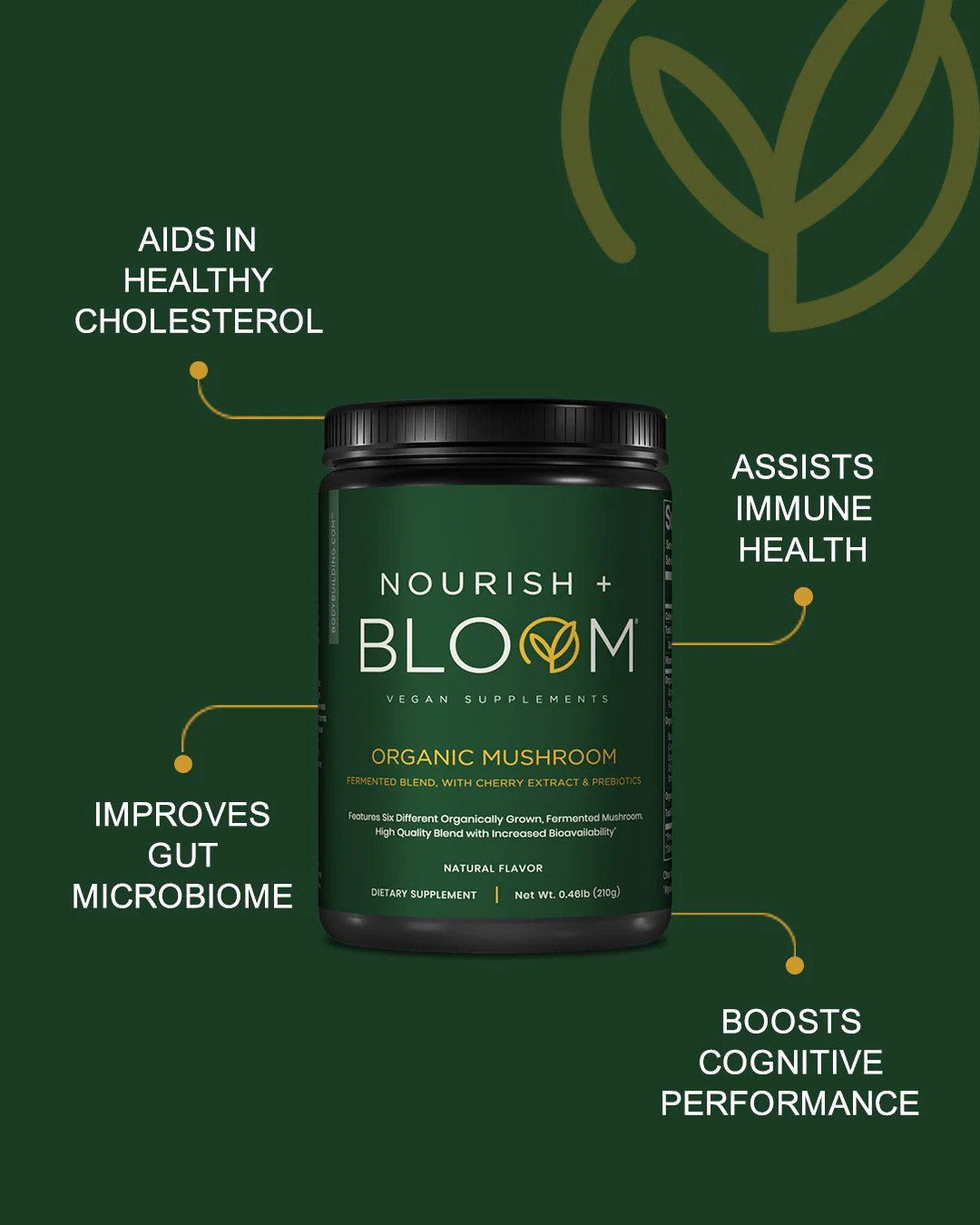 Nourish + Bloom Organic Mushroom