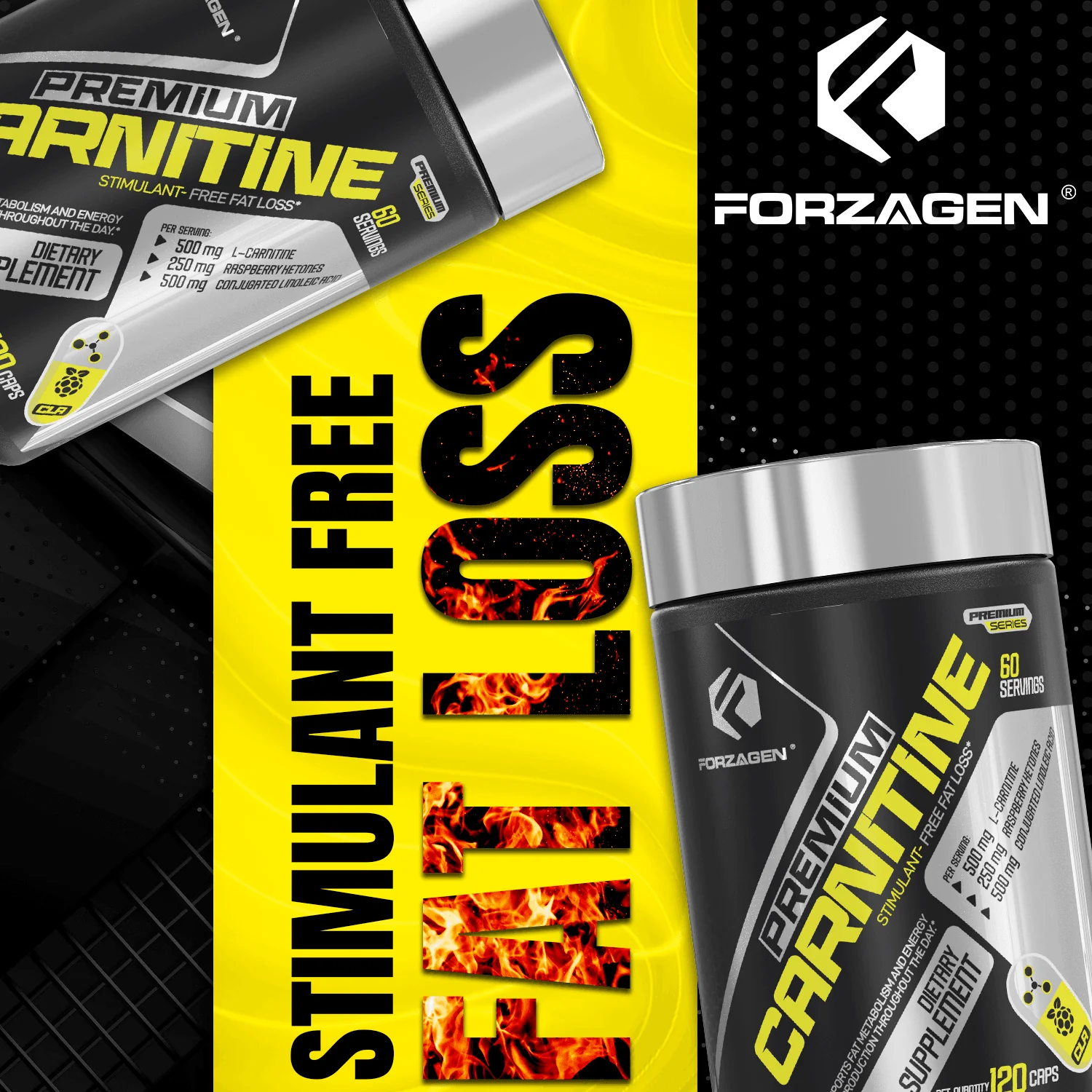 262-forzagen-premium-l-carnitine-cla-raspberry-ketones-stim-free-7.webp Forzagen Premium L Carnitine + CLA + Raspberry Ketones Stim-Free