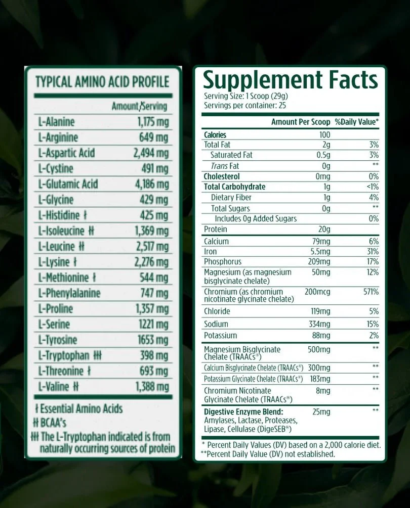VMI ProtoLyte Plant Protein